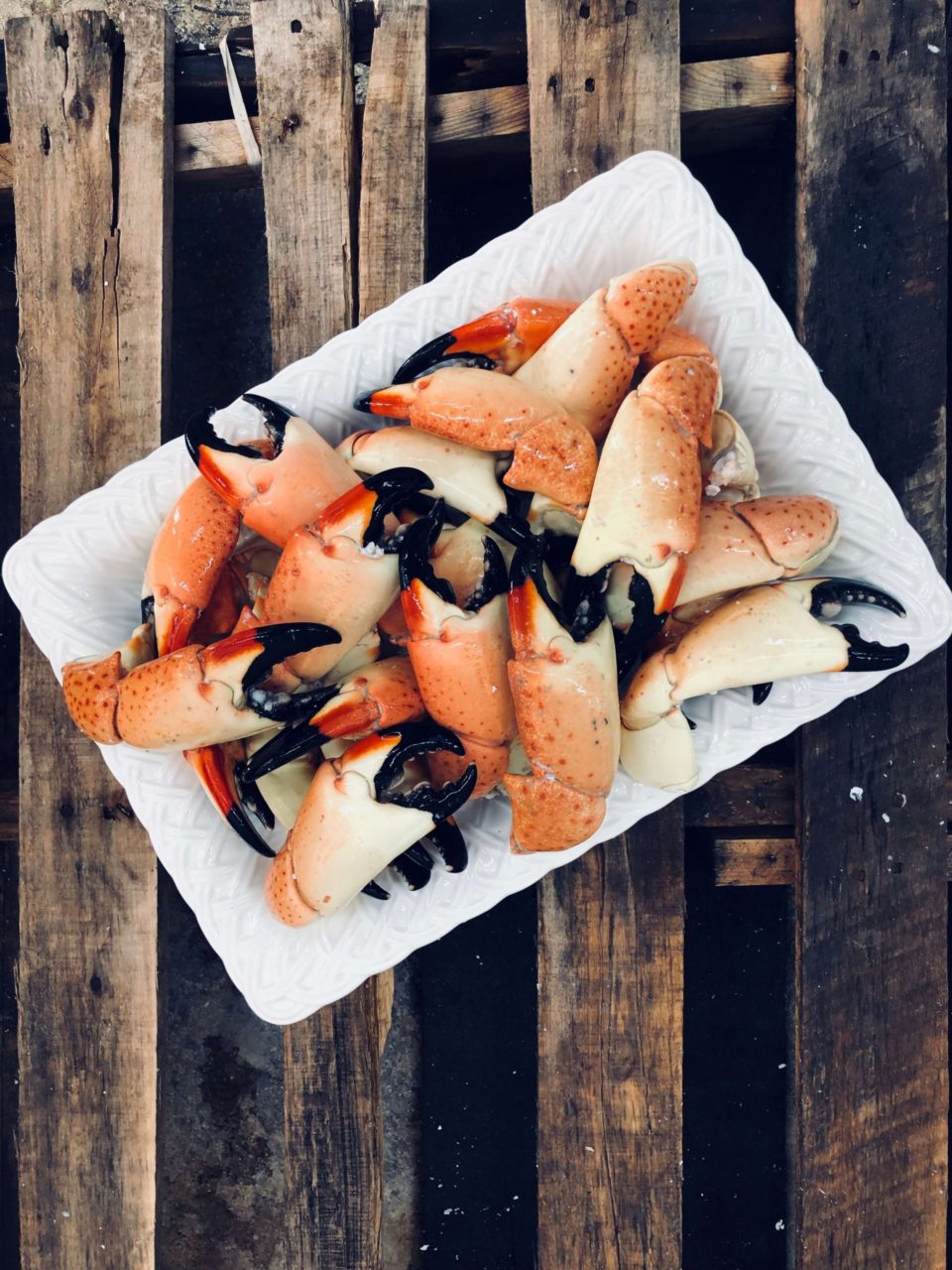 Photo of Fresh Florida Stone Crabs on a dish