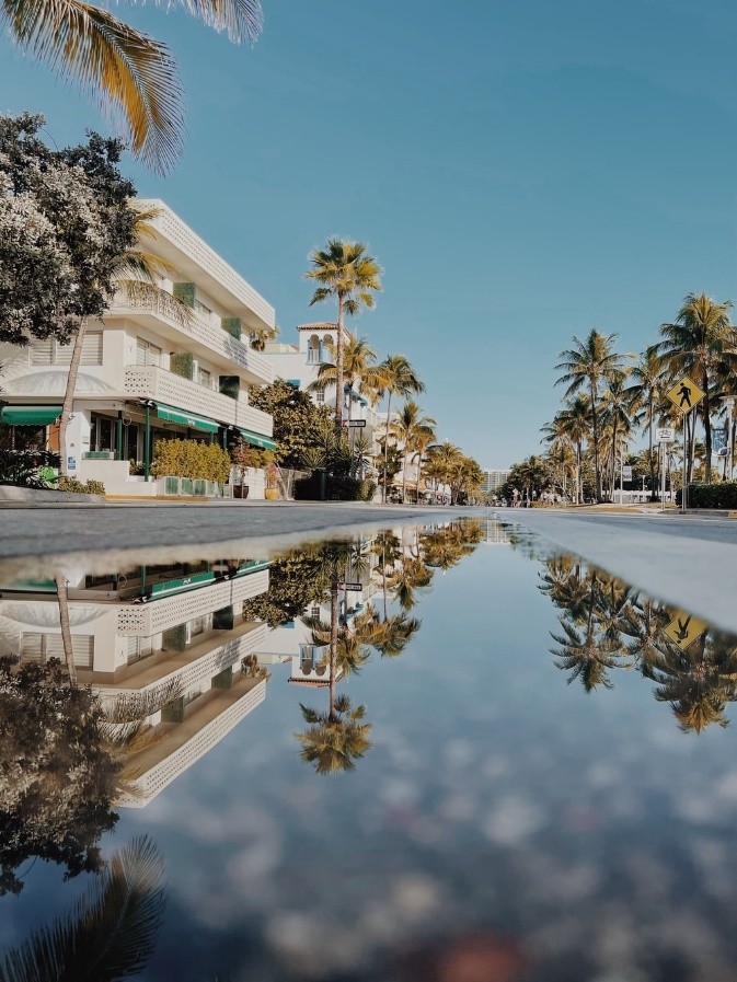 A puddle reflecting a view of palm trees and blue sky.