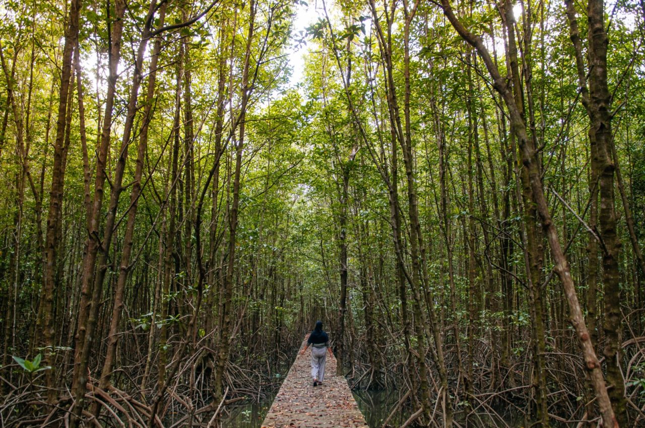 1 hombre caminando por el bosque