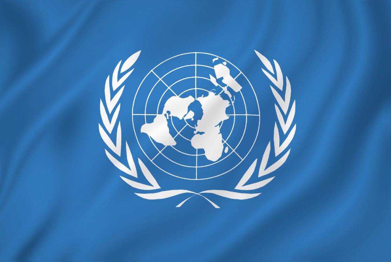 bandera de las naciones unidas