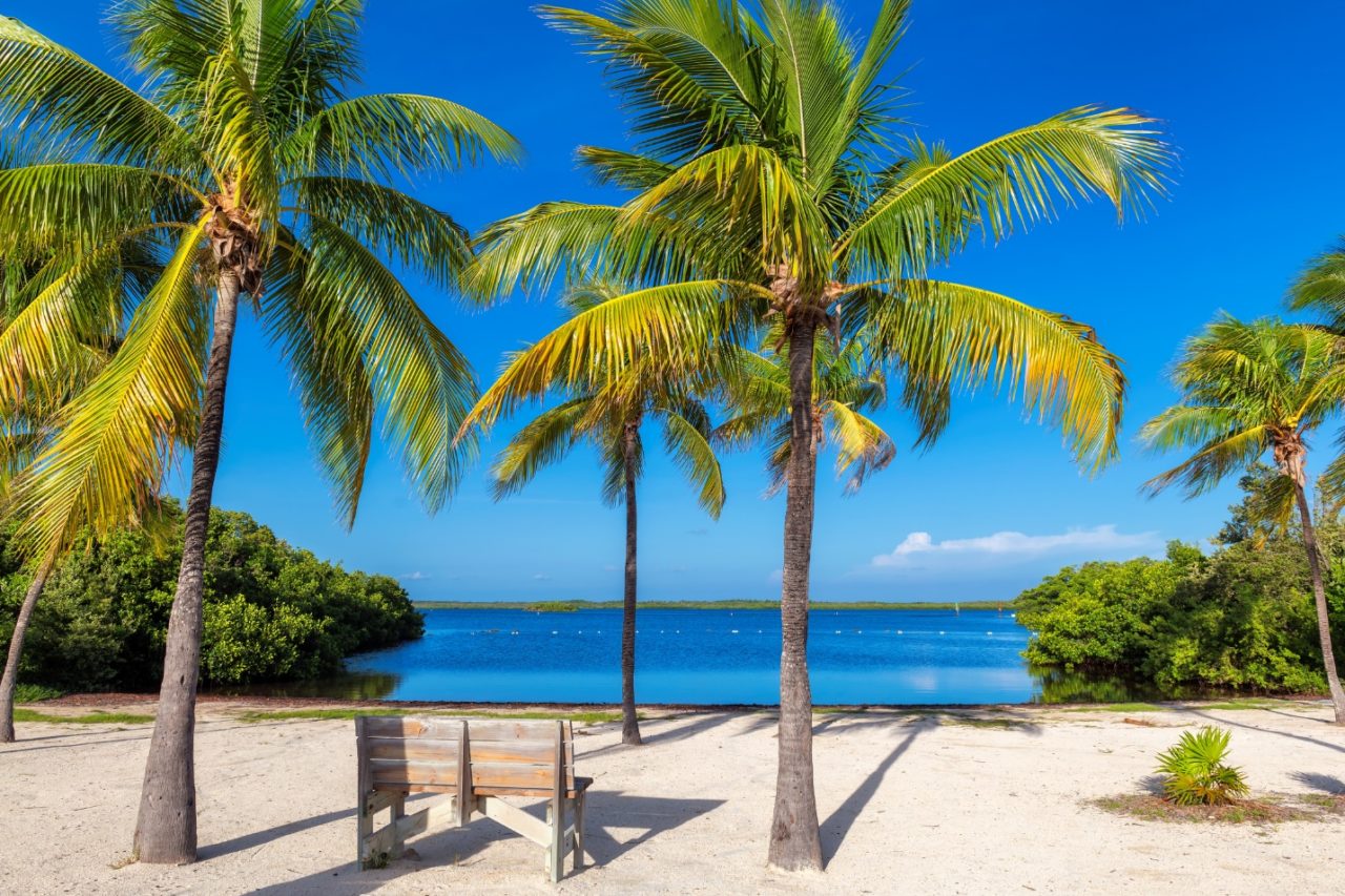 A beach in the Florida Keys