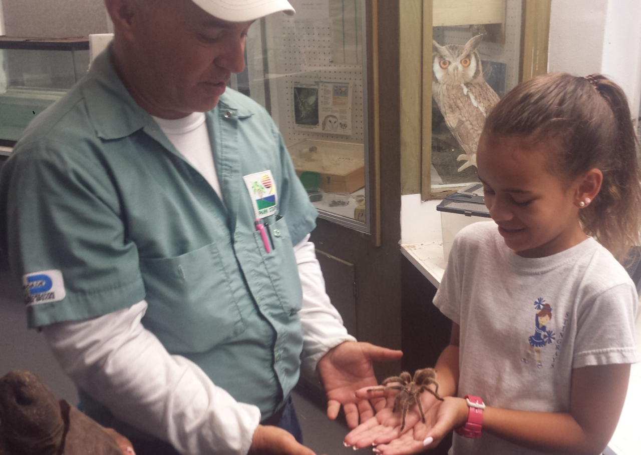 Person showing spider in their hand to a kid