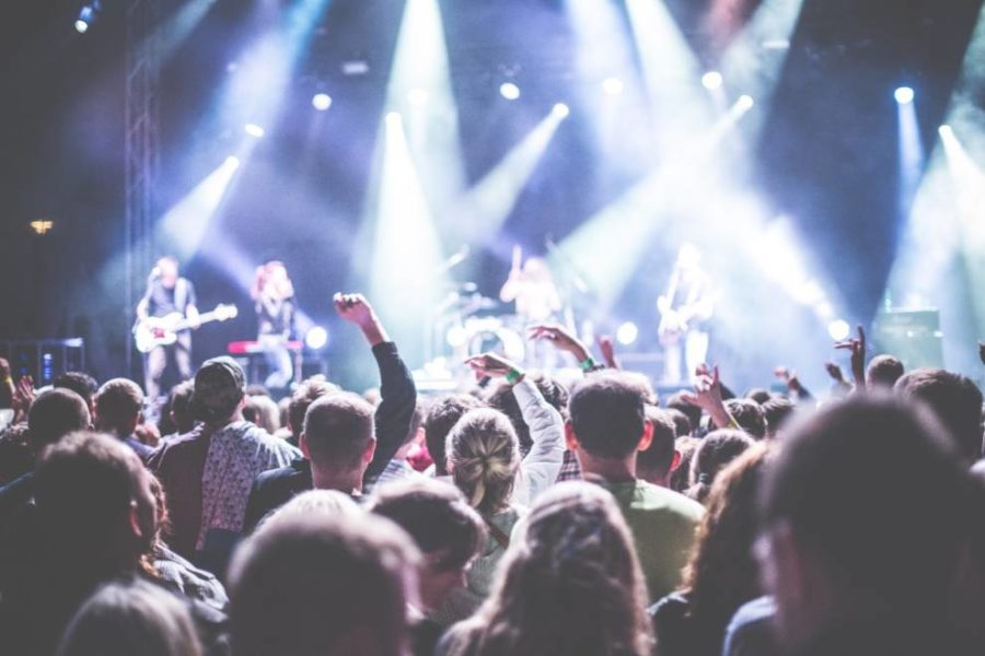 Crowd in a concert
