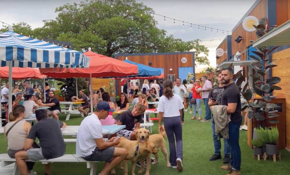 Personas sentadas en bancos al aire libre disfrutando de un día en Regatta Grove