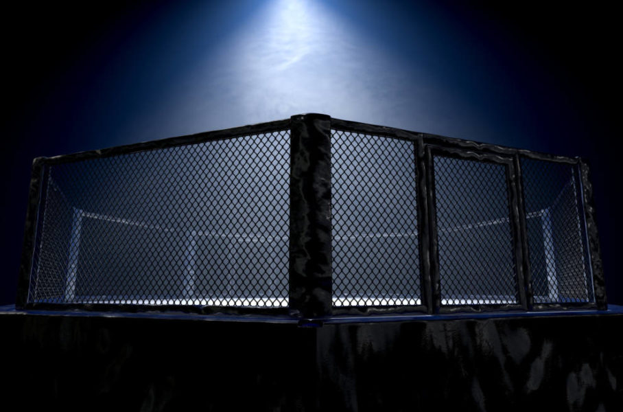 fighting Cage