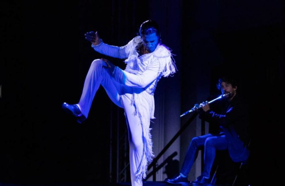 Una bailaora de flamenco actuando en el escenario.