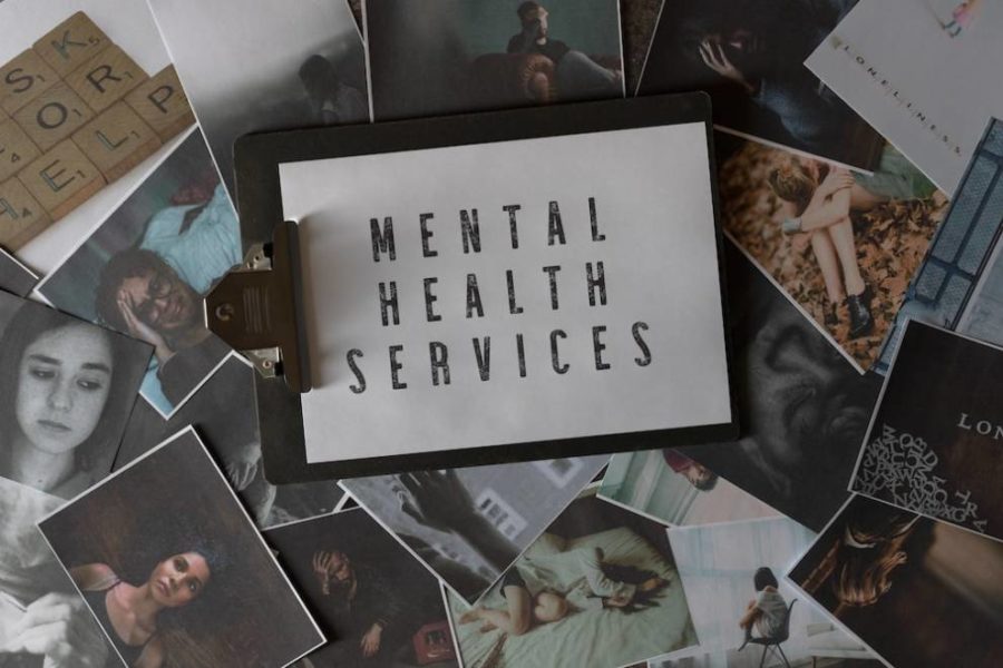 Mental health services text