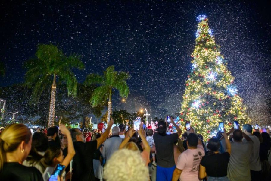 A festive scene with a group of people gathered around a beautifully decorated Christmas tree