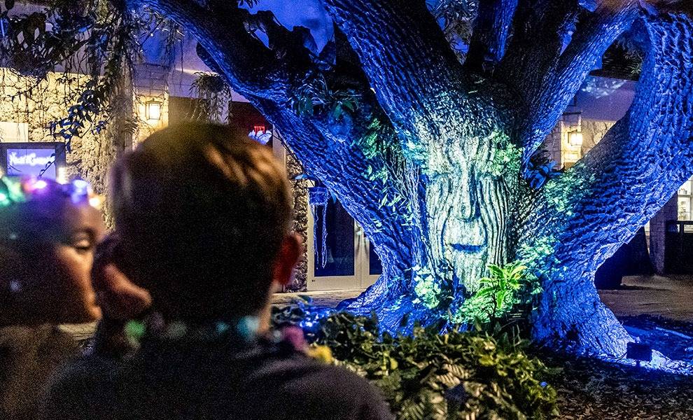 Child admires illuminated tree