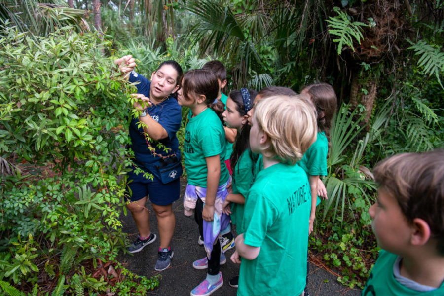 Niños en los divertidos campamentos de otoño de los parques de Miami-Dade: la aventura les espera este otoño