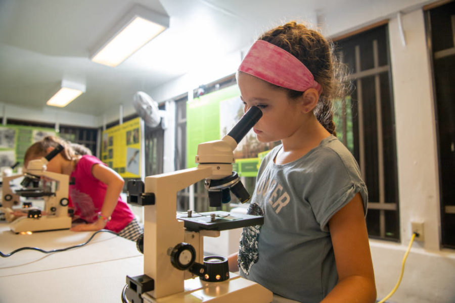 miami dade county parks fall camps