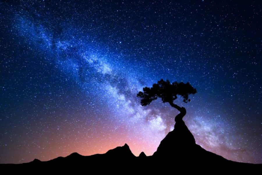 Milky Way shining above a tree on a mountain peak