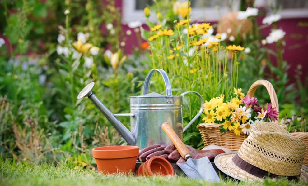 Gardening equipment in a beautiful Miami home's garden
