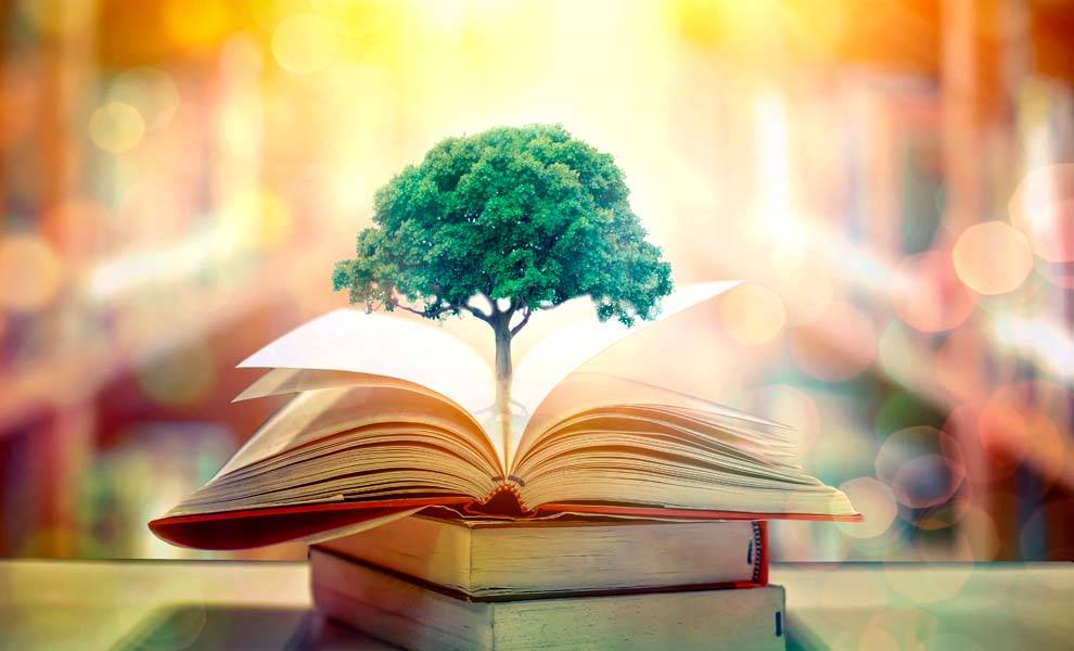 Un poema chino en una fan