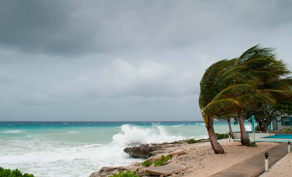 Una playa tropical con palmeras bajo un cielo tormentoso.