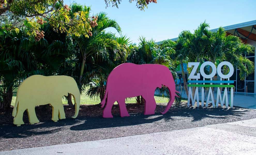 Yellow and Pink Elephant statues next to Zoo Miami sign.