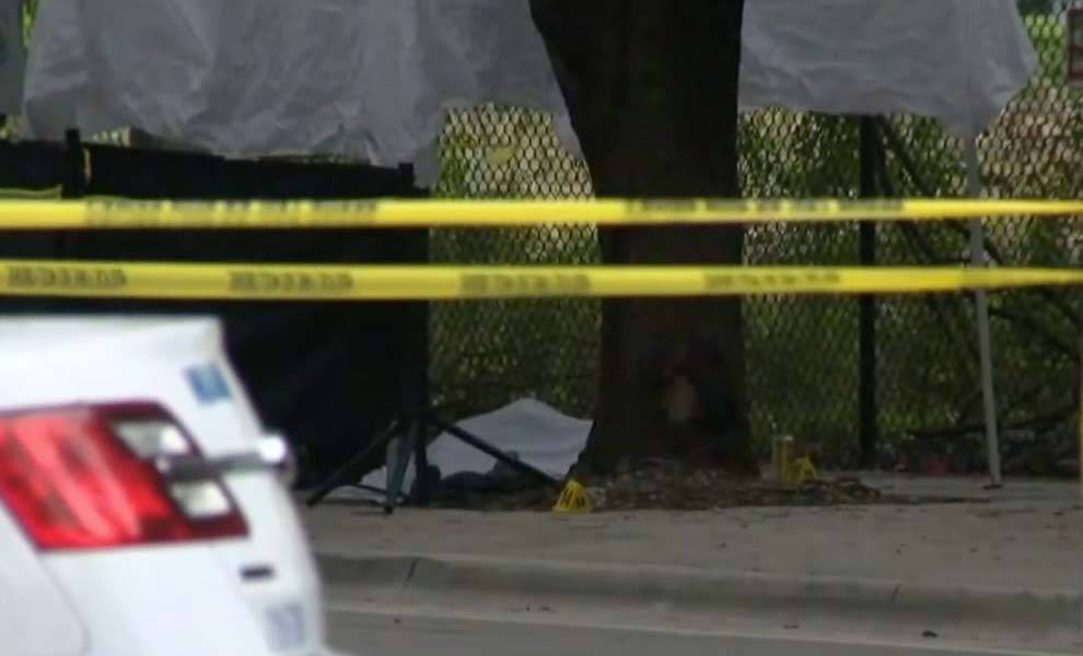 Un oficial de policía se encuentra junto a un árbol, con una cinta amarilla que marca un área designada para la investigación.