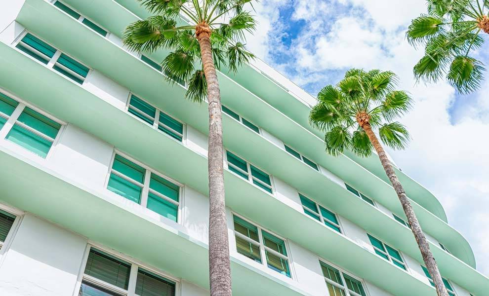 Una hilera de palmeras se encuentra frente a un edificio blanco inmaculado bajo un cielo azul claro.