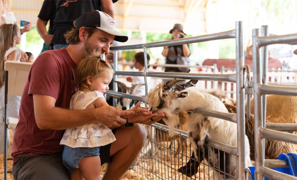 A man and a young girl gently pet a goat at CountryFest at Tropical Park.