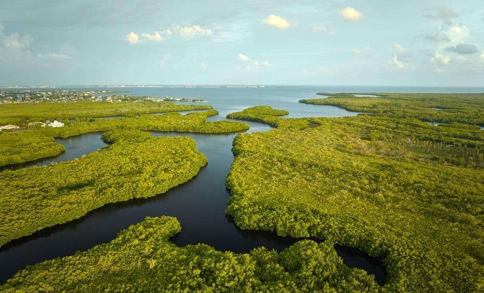 Alligator Alcatraz 1 1