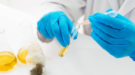 A researcher in blue latex gloves in a lab testing THC.