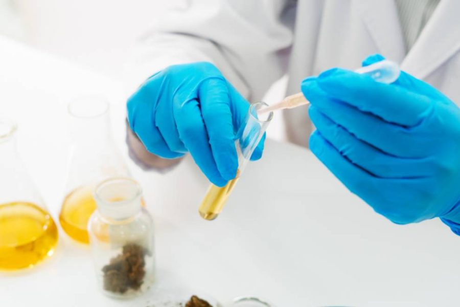 A researcher in blue latex gloves in a lab testing THC.