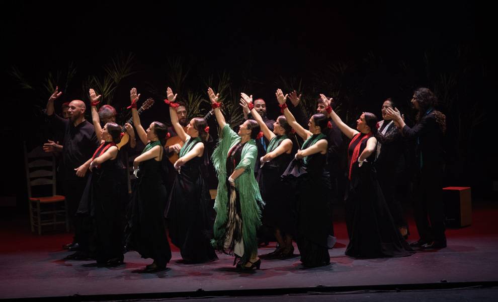 Flamenco 1