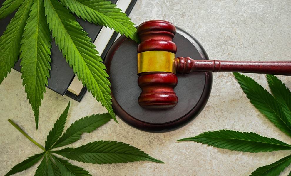 ¿Cuál es la situación del cannabis en 2026? Florida y el país enfrentan importantes cambios en sus políticas 1 Un libro y un mazo con hojas de cannabis sobre una mesa.