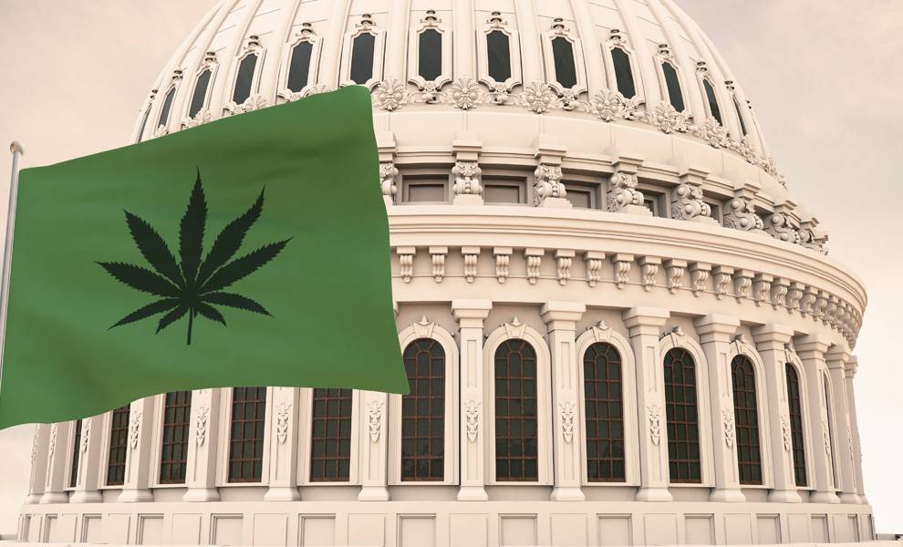 Where does cannabis stand in 2026? Florida and the nation face major policy shifts 1 The capital building with a green flag with a cannabis leaf.