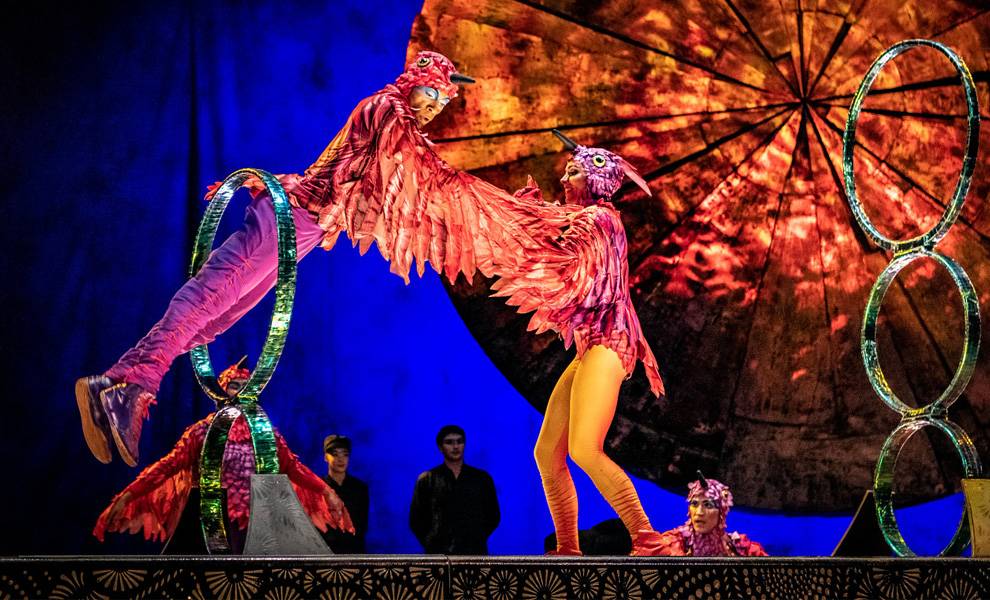 Dos artistas acrobáticos vestidos con vibrantes disfraces de pájaros rojos y rosas se equilibran y se sostienen mutuamente en el aire en un escenario teatral.