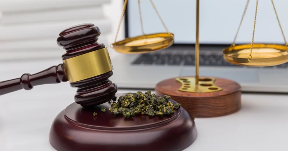 Un mazo de juez de madera descansa sobre su base de percusión junto a un pequeño montón de cogollos de cannabis, simbolizando las cuestiones legales relacionadas con la marihuana.