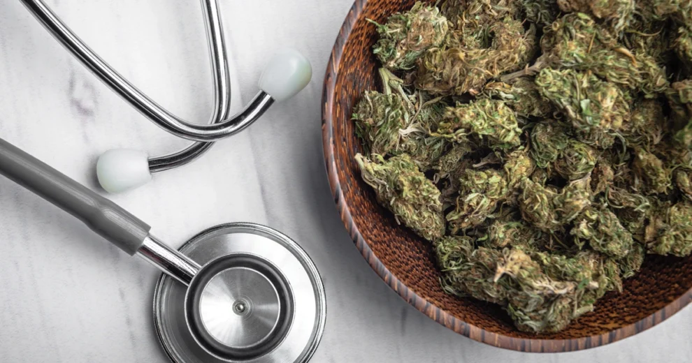Primer plano de flores de cannabis medicinal seco en un cuenco de madera, junto a un estetoscopio sobre una superficie de mármol. La imagen representa la marihuana medicinal como una opción de tratamiento sanitario y destaca la relación entre el cannabis y la atención médica.