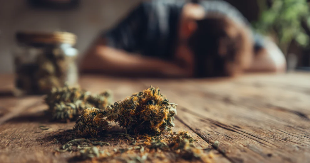 Close-up of dried cannabis buds on a wooden table, with a person blurred in the background.